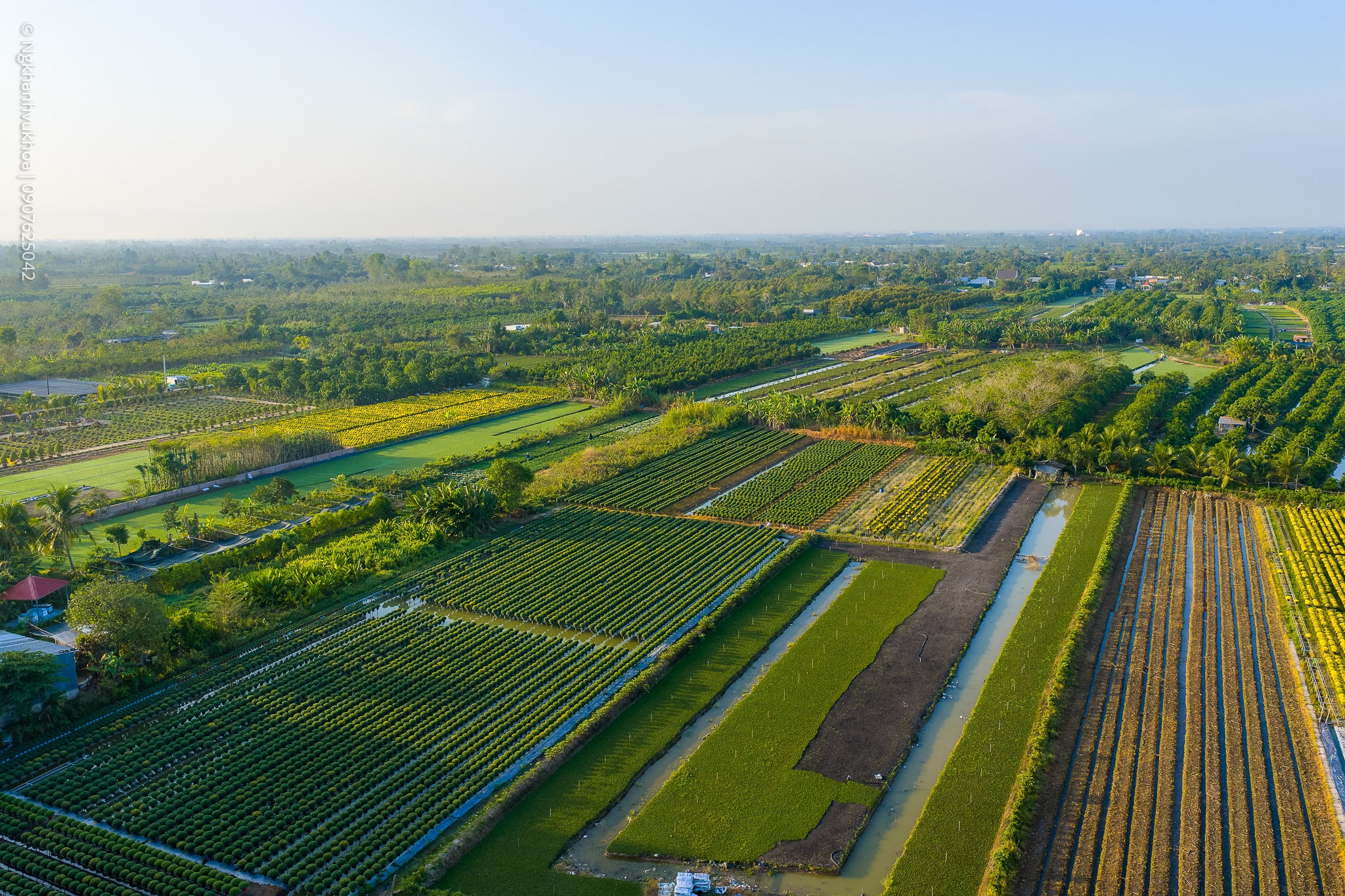 lang hoa sa dec: tu vuon xua khep kin den di san van hoa quoc gia - 13