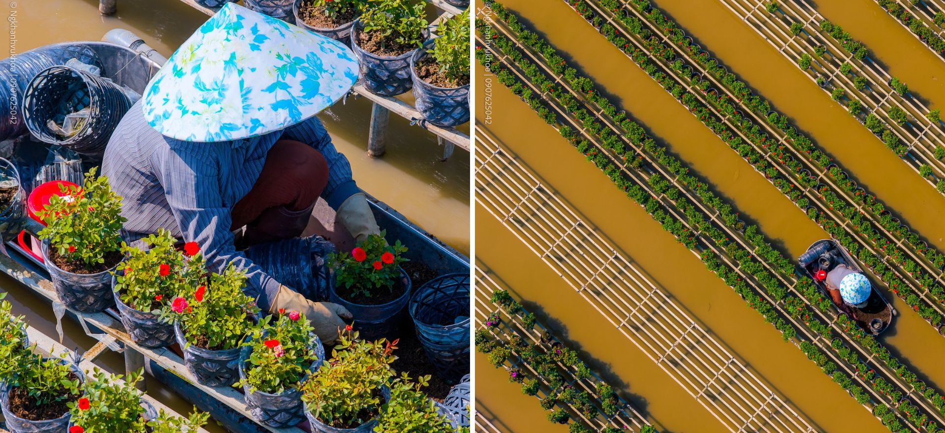 lang hoa sa dec: tu vuon xua khep kin den di san van hoa quoc gia - 17