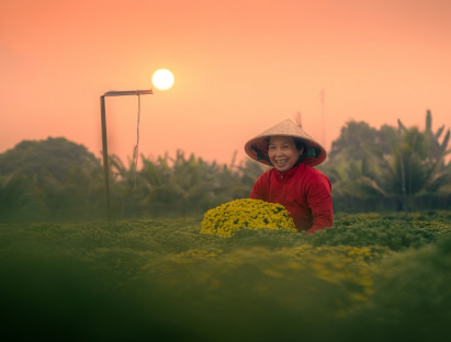  - Làng hoa Sa Đéc: Từ vườn xưa khép kín đến di sản văn hóa quốc gia
