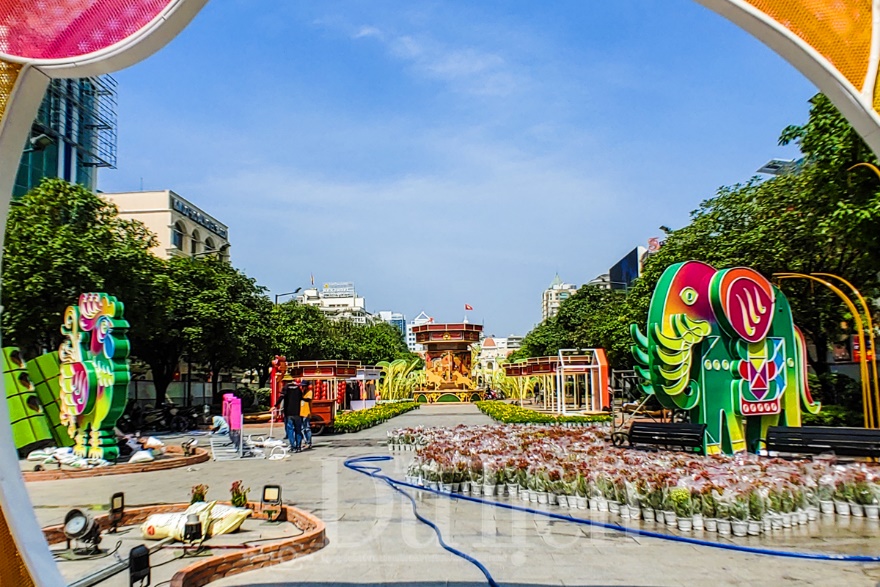 Voi 9 ngà – Gà 9 cựa – Ngựa 9 hồng mao đã lộ diện tại Đường hoa Bính Ngọ - 4