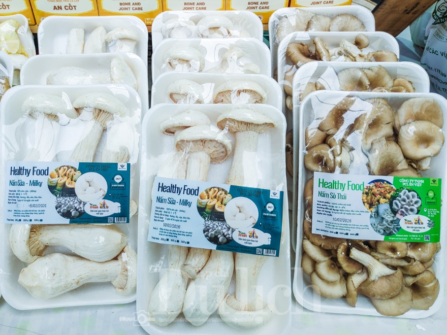 Giữa phố đông, tìm một phiên chợ Tết hướng đến giá trị bền vững - 5