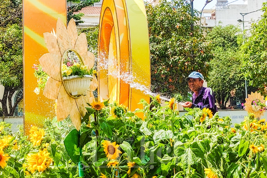 Voi 9 ngà – Gà 9 cựa – Ngựa 9 hồng mao đã lộ diện tại Đường hoa Bính Ngọ - 14