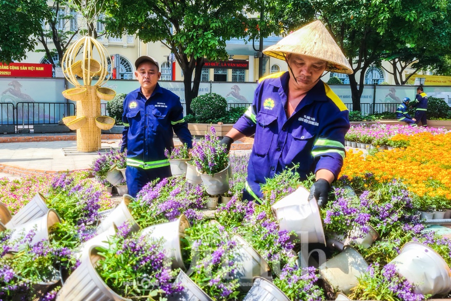 Voi 9 ngà – Gà 9 cựa – Ngựa 9 hồng mao đã lộ diện tại Đường hoa Bính Ngọ - 13