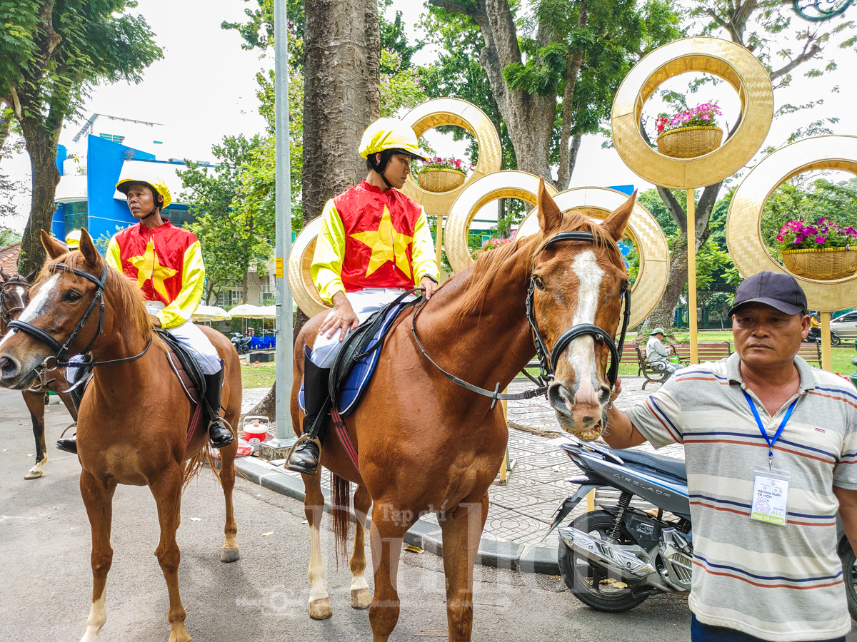 Ngắm Tam mã tung vó câu trước giờ khai mạc Hội hoa xuân Tao Đàn 2026 - 6