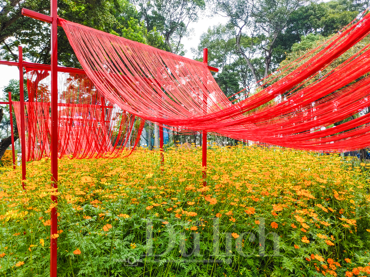 Ngắm Tam mã tung vó câu trước giờ khai mạc Hội hoa xuân Tao Đàn 2026 - 5