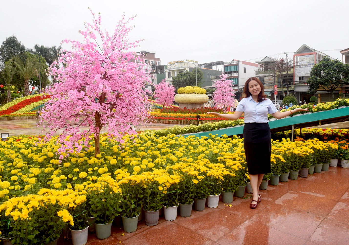 linh vat ngua vang hap dan du khach den vuon hoa xuan quang ngai - 10