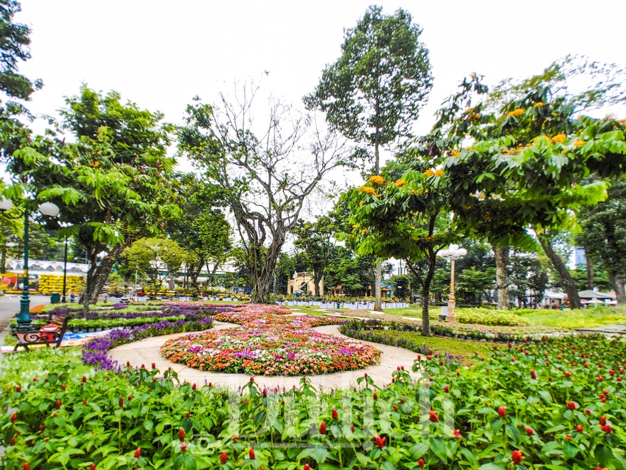 Ngắm Tam mã tung vó câu trước giờ khai mạc Hội hoa xuân Tao Đàn 2026 - 10