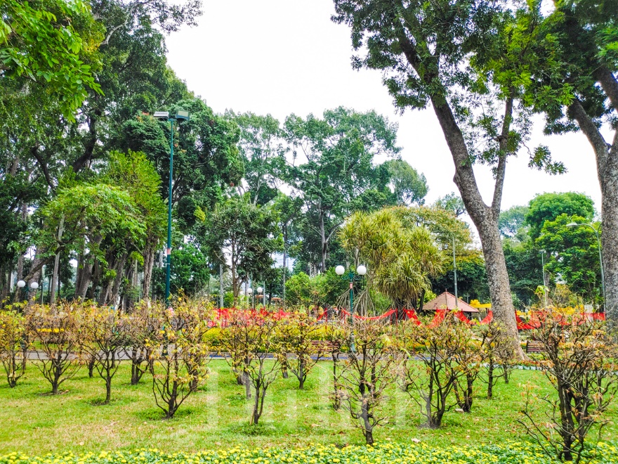 Ngắm Tam mã tung vó câu trước giờ khai mạc Hội hoa xuân Tao Đàn 2026 - 9