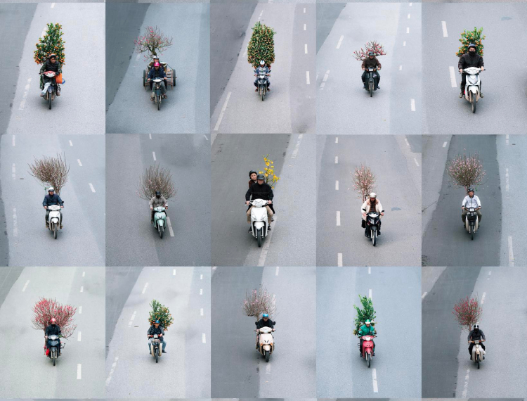 Bộ ảnh chở sắc xuân thu hút hàng chục nghìn lượt tương tác