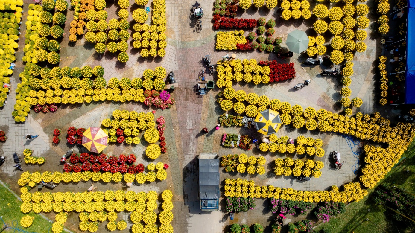 Rực rỡ muôn loài hoa ở chợ hoa Xuân xứ Huế - 8