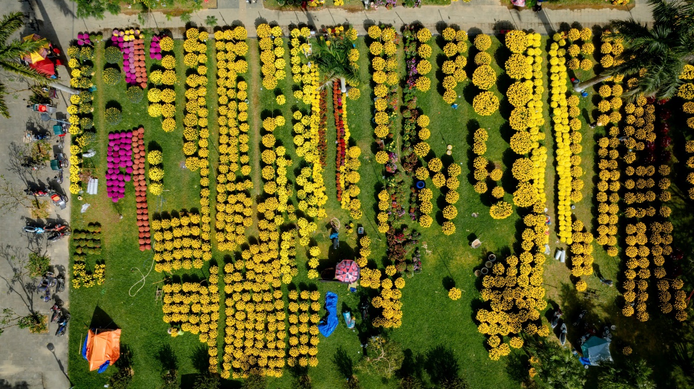 Rực rỡ muôn loài hoa ở chợ hoa Xuân xứ Huế - 6