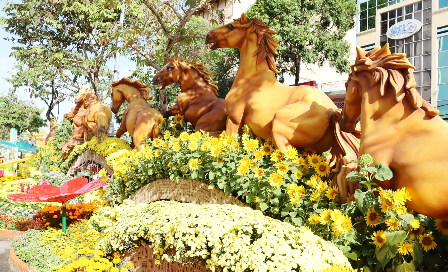 'Bát mã phi thiên' cưỡi trên sóng hoa ở Cần Thơ - 2