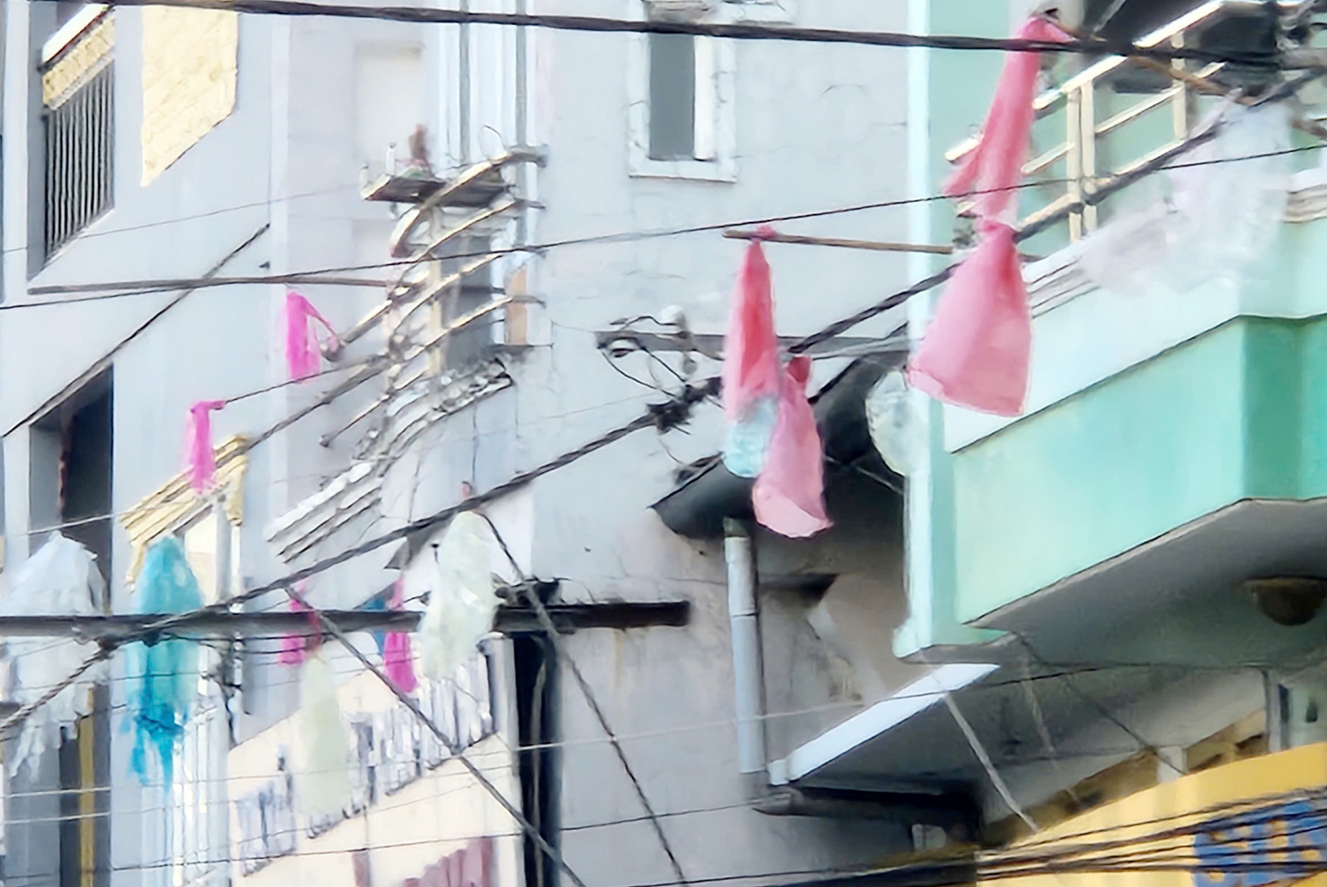 Người dân Cần Thơ treo nhiều vật dụng để đuổi chim trước nhà - 2