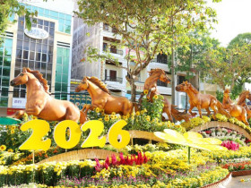  - 'Bát mã phi thiên' cưỡi trên sóng hoa ở Cần Thơ