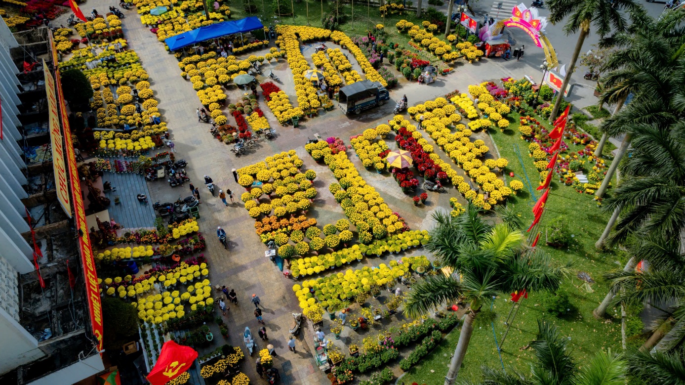 Rực rỡ muôn loài hoa ở chợ hoa Xuân xứ Huế - 5
