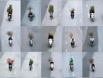 Chuyện hay - Bộ ảnh chở sắc xuân thu hút hàng chục nghìn lượt tương tác