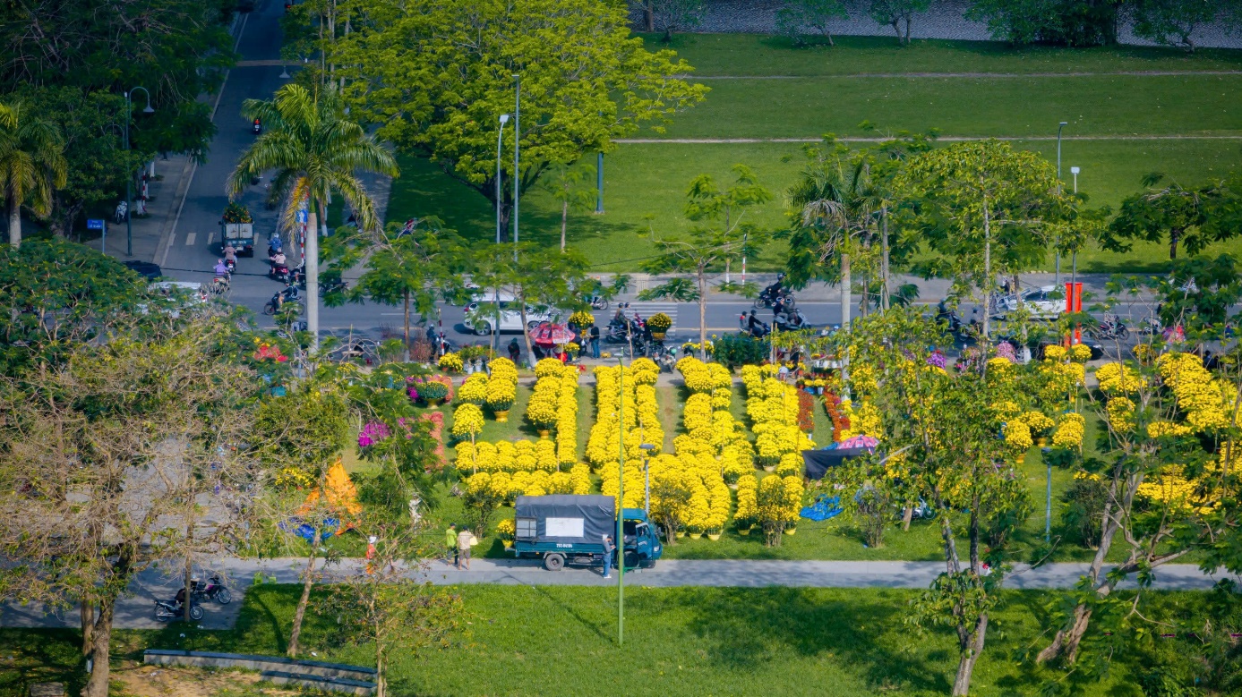 Rực rỡ muôn loài hoa ở chợ hoa Xuân xứ Huế - 4