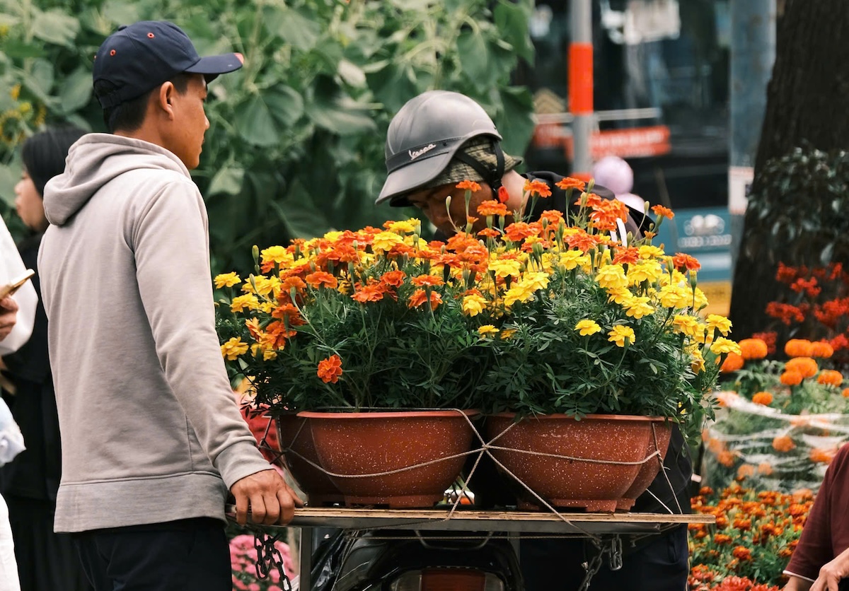 Giữa chợ hoa Tết nhộn nhịp, nỗi lo lớn nhất lại là… không kịp về quê - 6