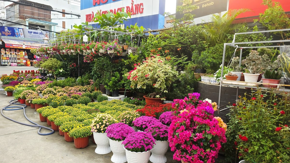 TP.HCM thêm nhiều điểm du xuân, xem ca nhạc miễn phí dịp tết Bính Ngọ 2026 - 5