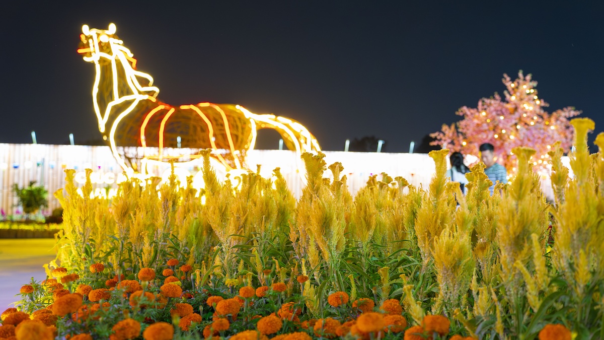 them mot khu dat 'vang' thanh cong vien lung linh ve dem, thu hut nguoi dan choi tet - 11