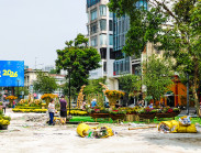 Vườn hoa 'đất vàng' Tứ giác Lê Lợi có lỡ hẹn ngày xuân, du khách ngỡ ngàng vì cỏ nhựa