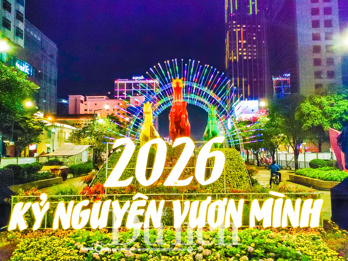 Đêm huyền ảo cùng những chú ngựa lung linh rực sáng trước ngày khai mạc - 12