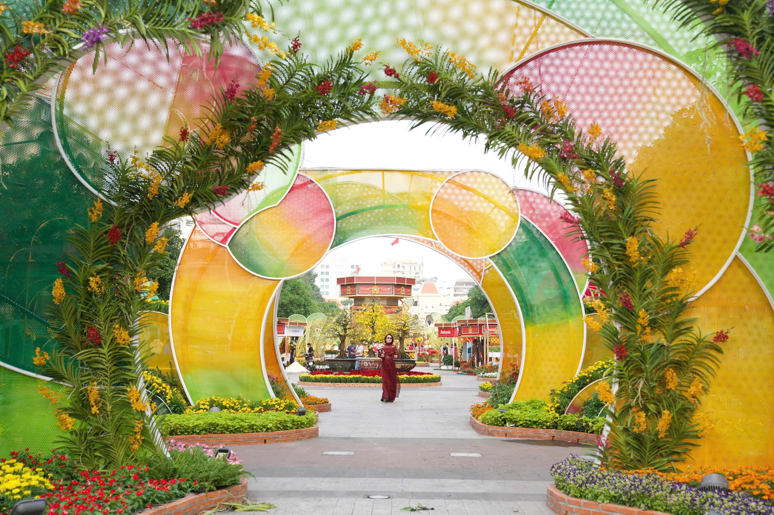 Thả bước du xuân ngắm Đường hoa xuân Tết Bính Ngọ trước giờ G - 2