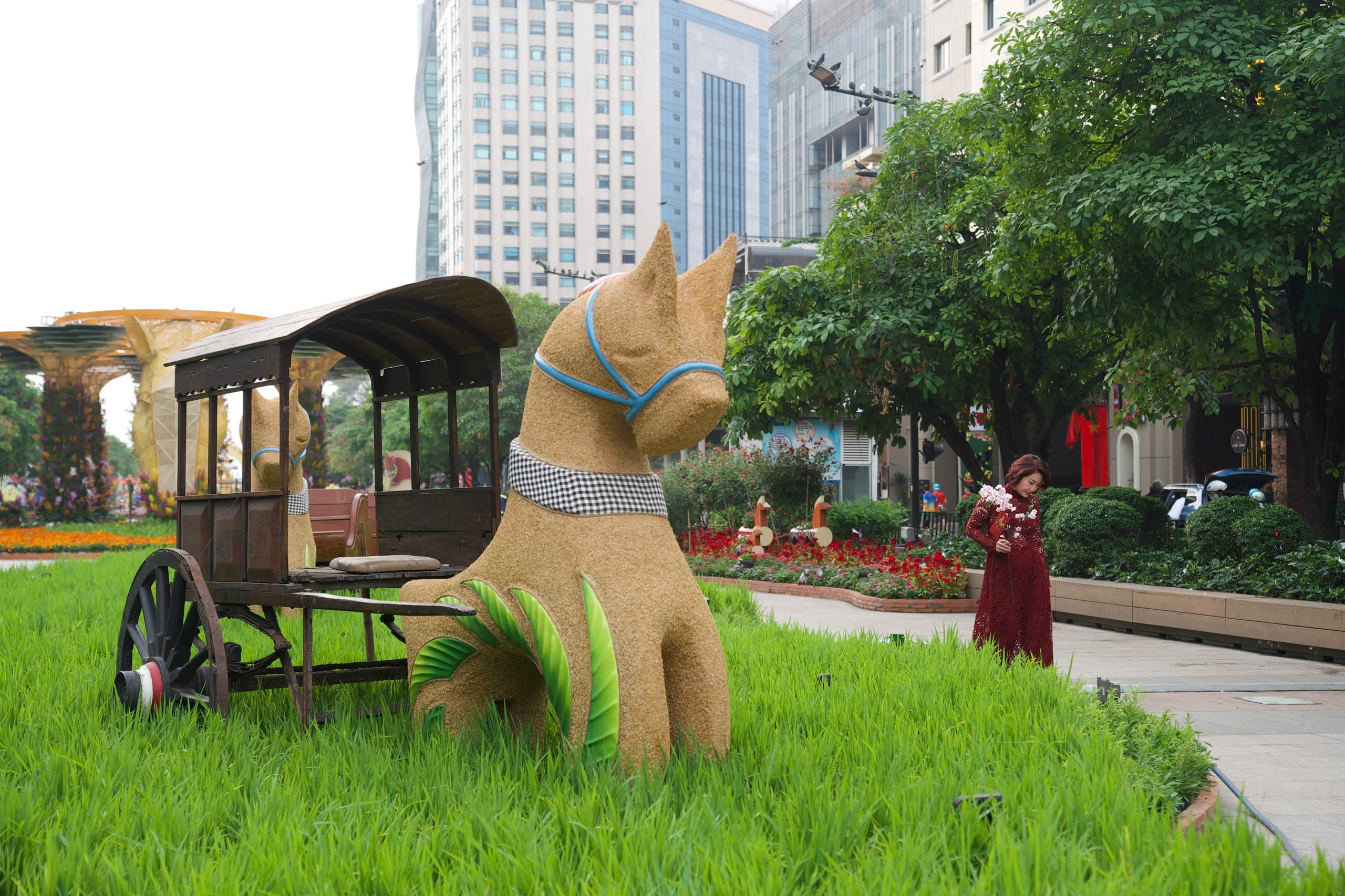 Thả bước du xuân ngắm Đường hoa xuân Tết Bính Ngọ trước giờ G - 7