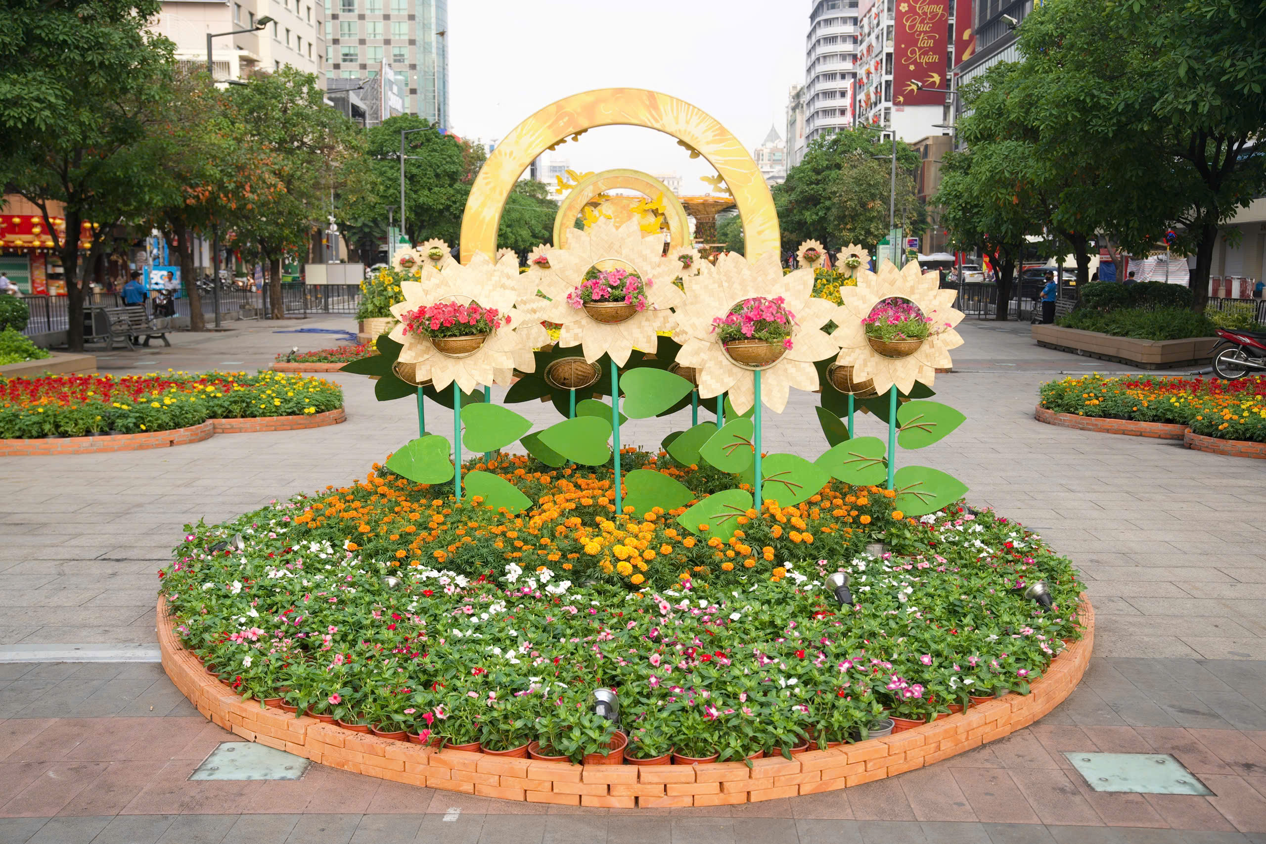 Thả bước du xuân ngắm Đường hoa xuân Tết Bính Ngọ trước giờ G - 5