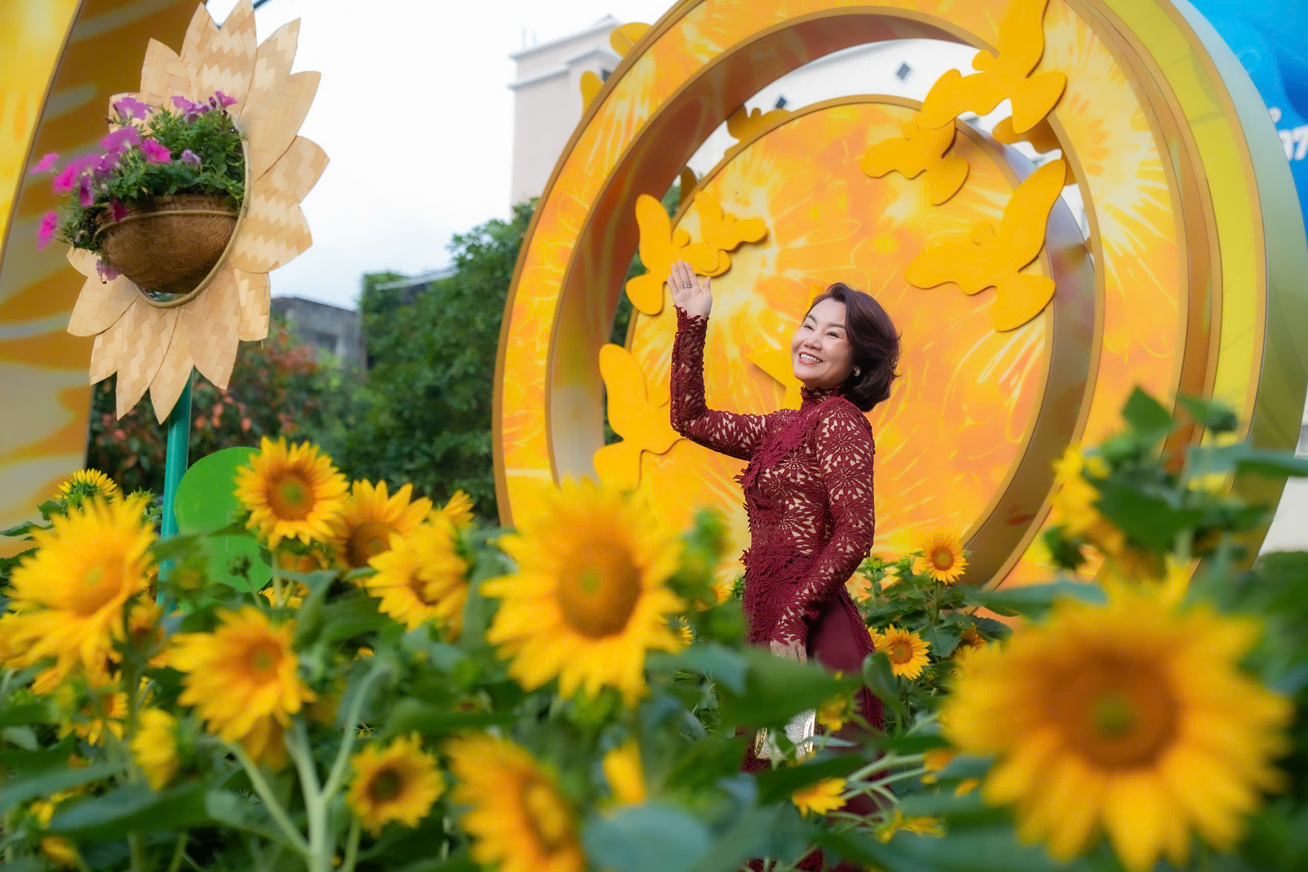 Thả bước du xuân ngắm Đường hoa xuân Tết Bính Ngọ trước giờ G - 9