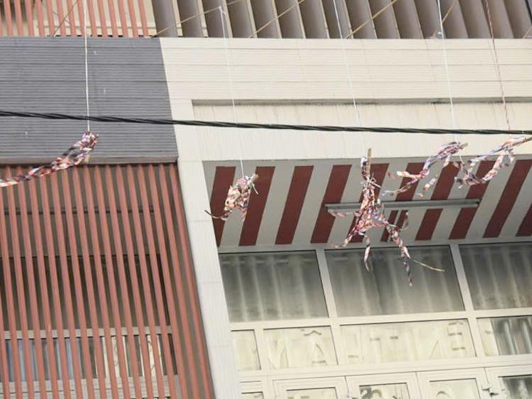 Người dân Cần Thơ treo nhiều vật dụng để đuổi chim trước nhà