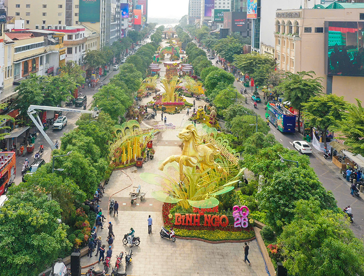 Thả bước du xuân ngắm Đường hoa xuân Tết Bính Ngọ trước giờ G