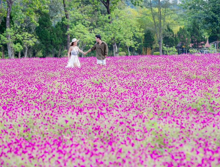 Yang Bay - Bản giao hưởng mùa xuân giữa đại ngàn
