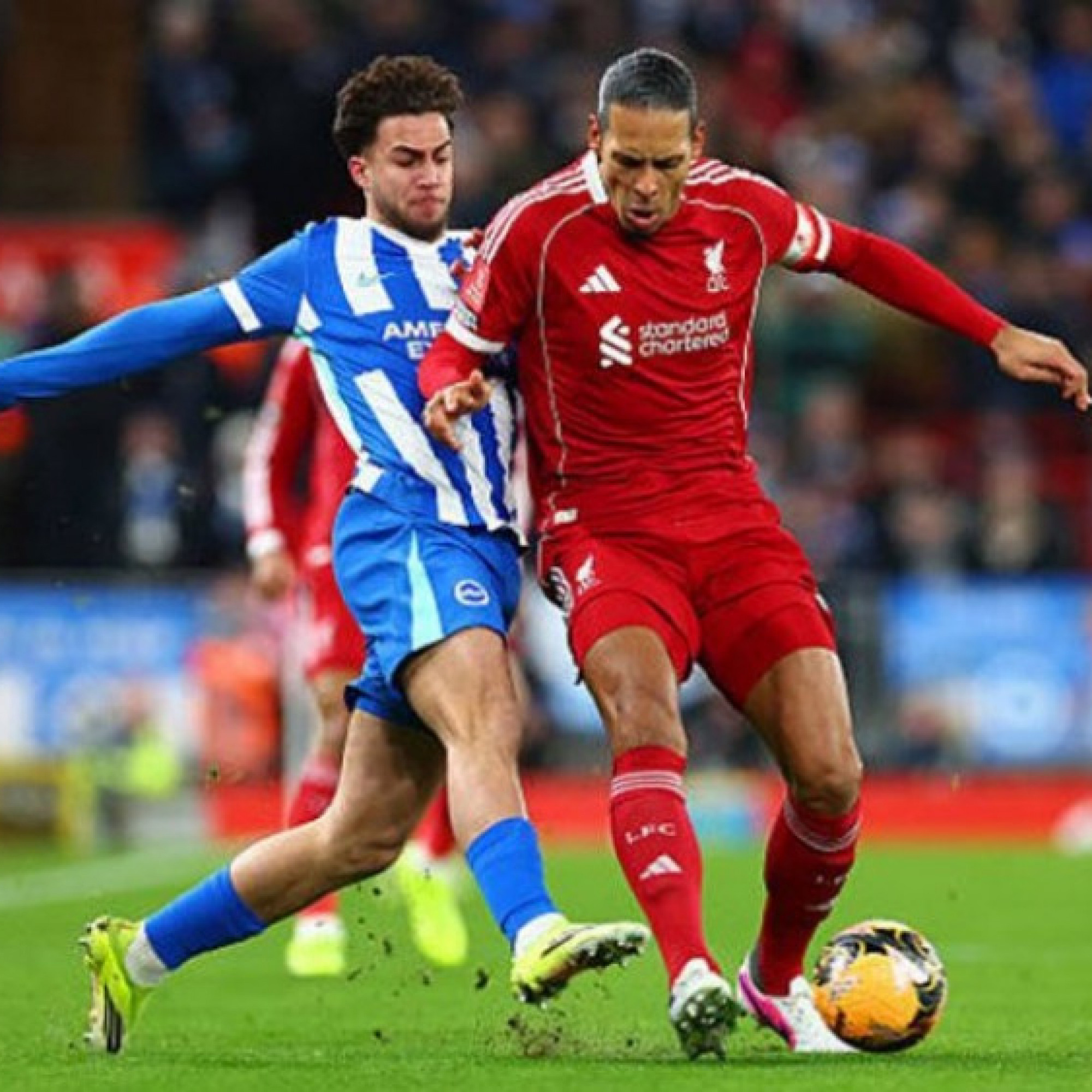  - Kết quả bóng đá Liverpool - Brighton: Đại thắng 3 bàn, bước ngoặt cuối hiệp 1 (FA Cup)