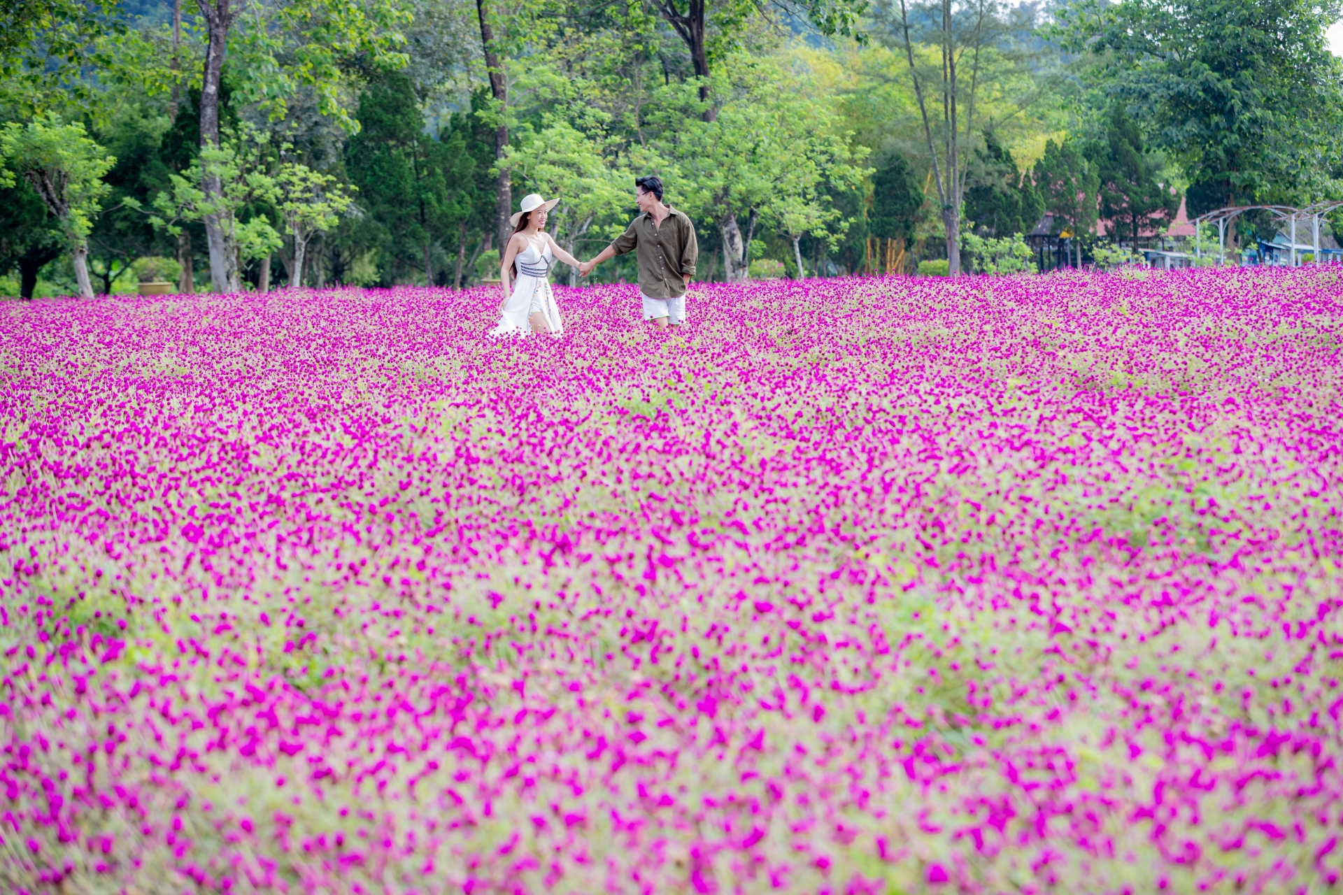 Yang Bay - Bản giao hưởng mùa xuân giữa đại ngàn - 1