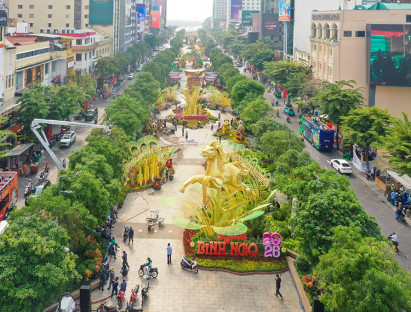  - Thả bước du xuân ngắm Đường hoa xuân Tết Bính Ngọ trước giờ G