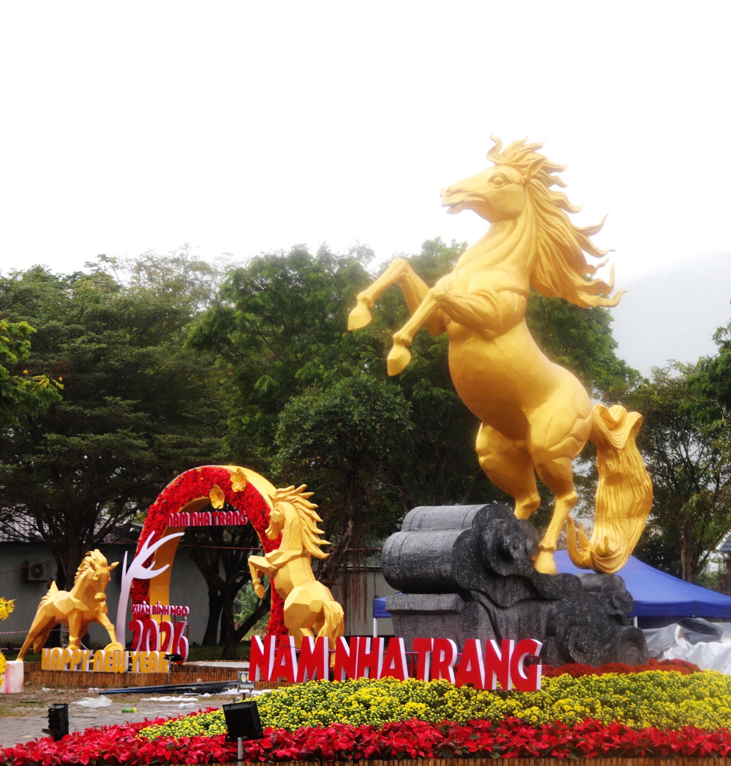 Những con đường Tết ở Nha Trang - 4