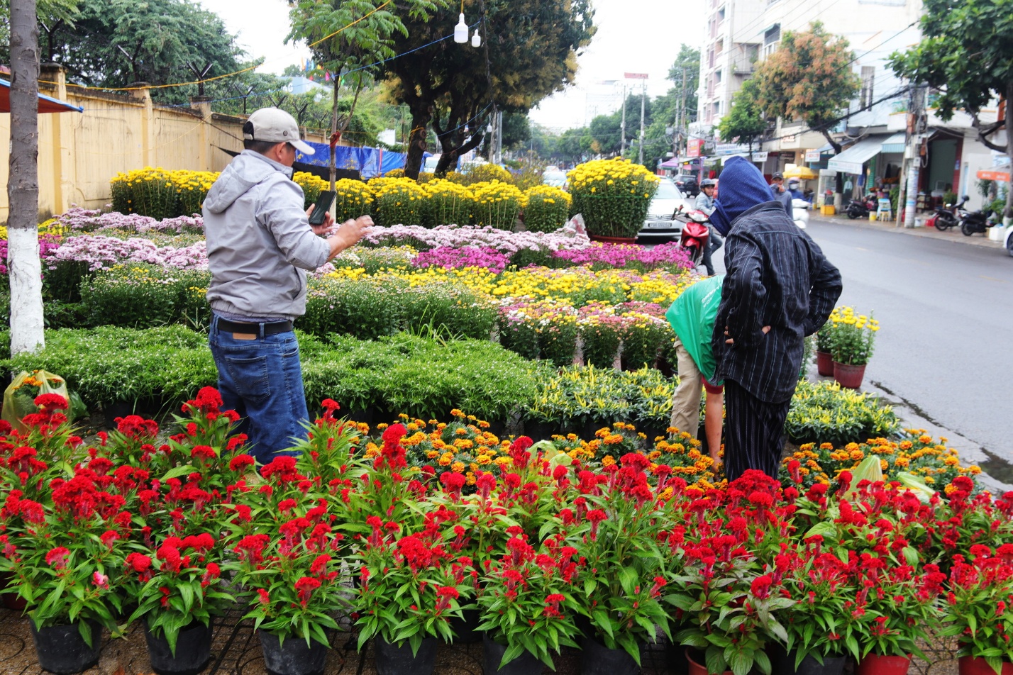 Những con đường Tết ở Nha Trang - 1
