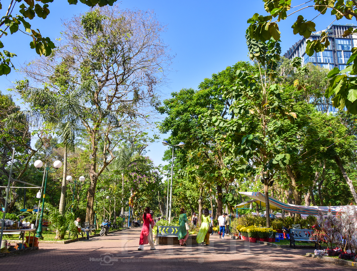 Ngày cuối chợ hoa tết, khách du xuân chụp ảnh đông hơn khách mua - 3
