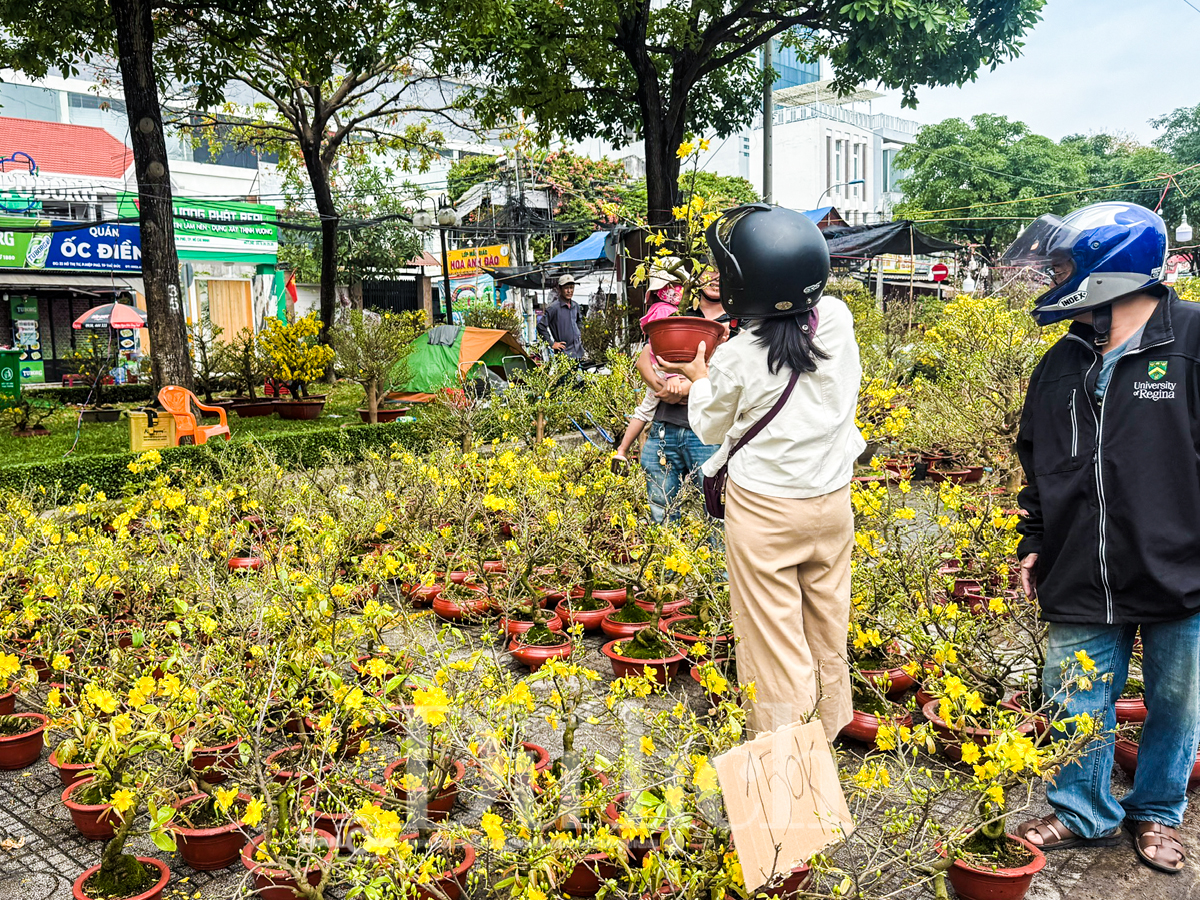 Ngày cuối chợ hoa tết, khách du xuân chụp ảnh đông hơn khách mua - 8