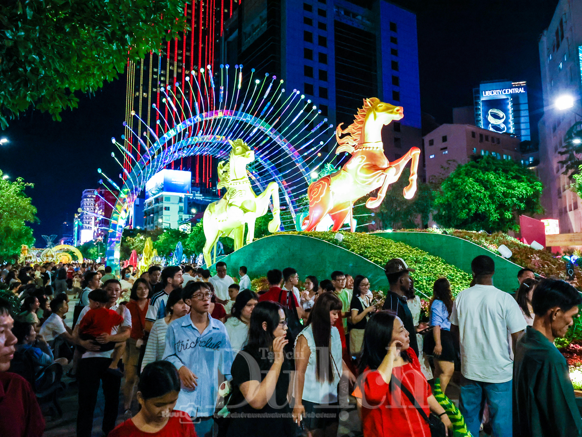 Đêm Giao thừa lạc bước giữa rừng hoa, biển sách và linh vật mừng xuân Bính Ngọ - 5