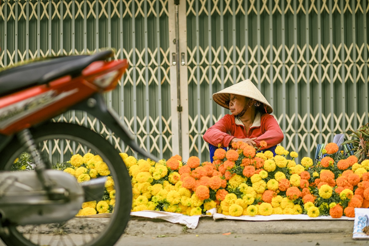 di dau roi cung ve, ghe lai cho que tim mui tet cu - 6