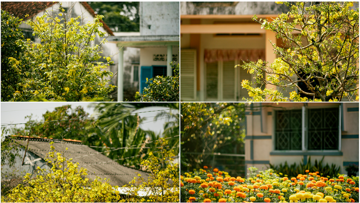 di dau roi cung ve, ghe lai cho que tim mui tet cu - 15