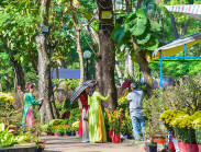 Ngày cuối chợ hoa tết, khách du xuân chụp ảnh đông hơn khách mua