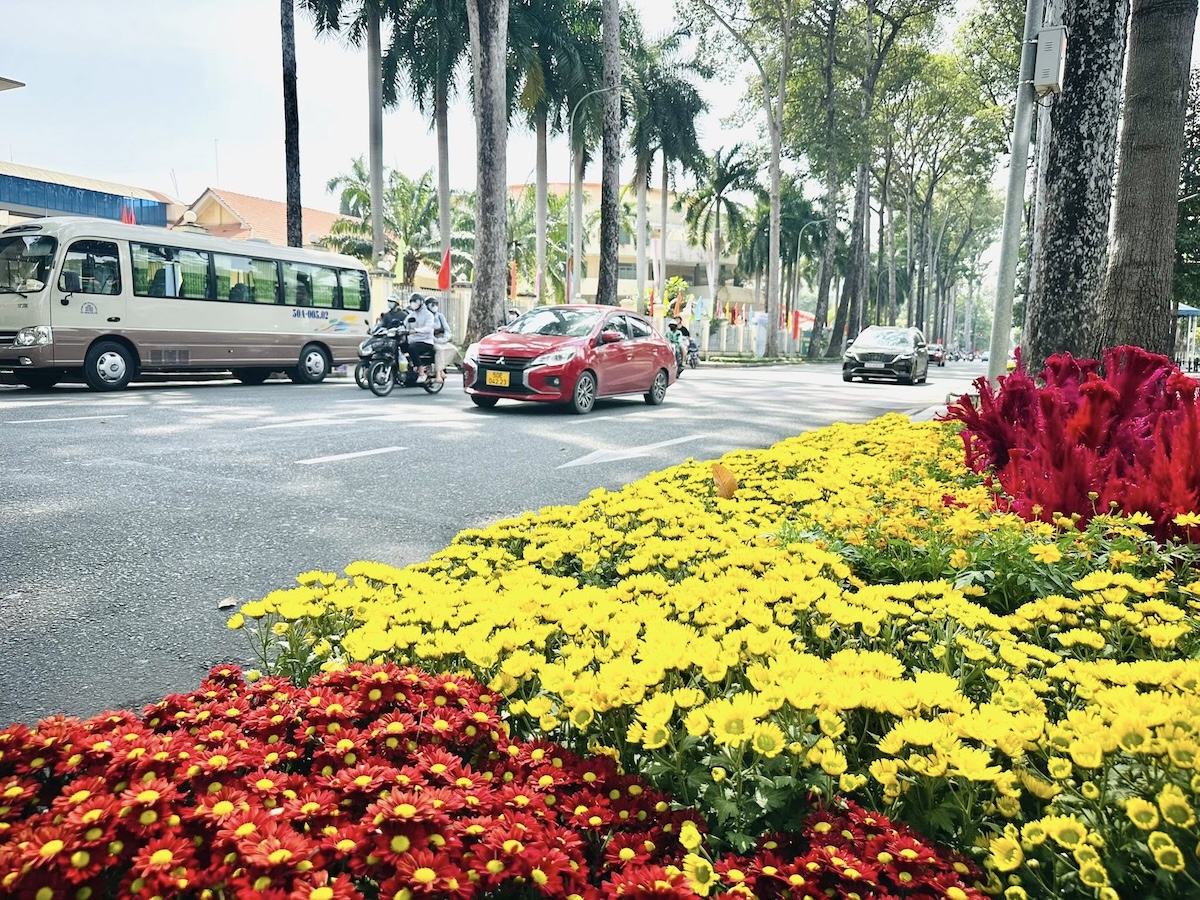 TP.HCM vào xuân: Rực rỡ cờ hoa, đong đầy sẻ chia - 5