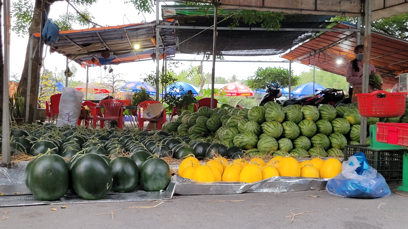 Những mùa xuân gần lại - 2