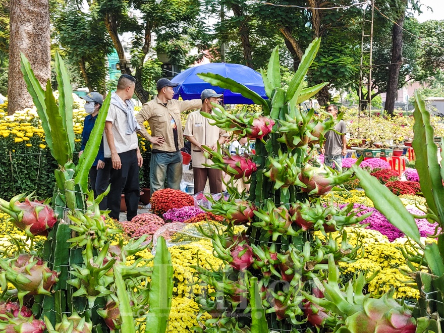 Ngày cuối chợ hoa tết, khách du xuân chụp ảnh đông hơn khách mua - 11