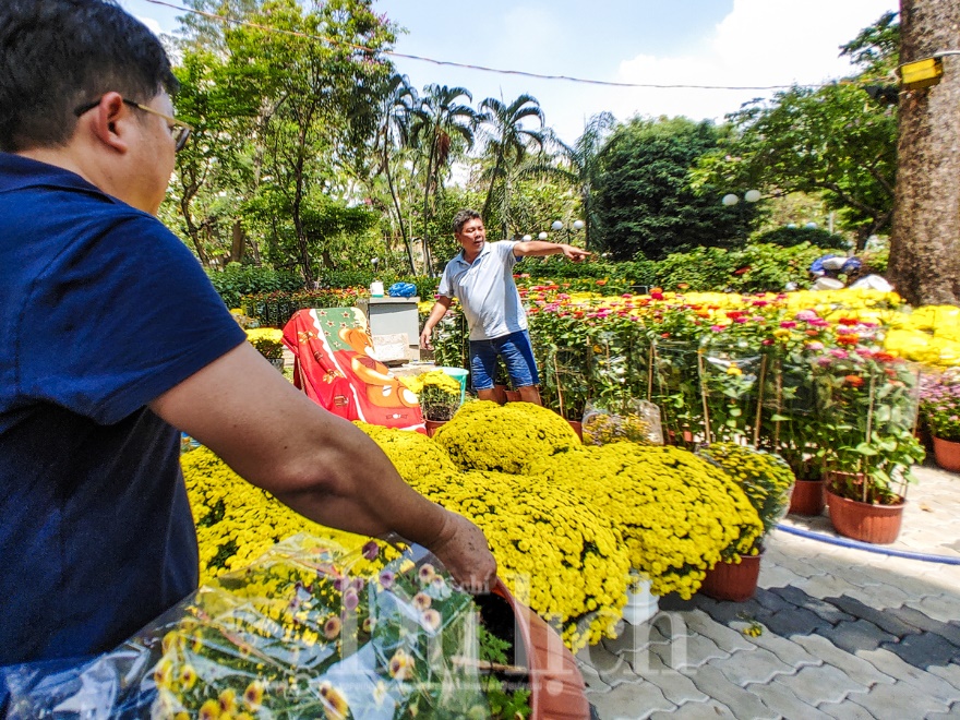 Ngày cuối chợ hoa tết, khách du xuân chụp ảnh đông hơn khách mua - 12