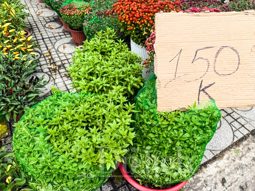 Ngày cuối chợ hoa tết, khách du xuân chụp ảnh đông hơn khách mua - 9