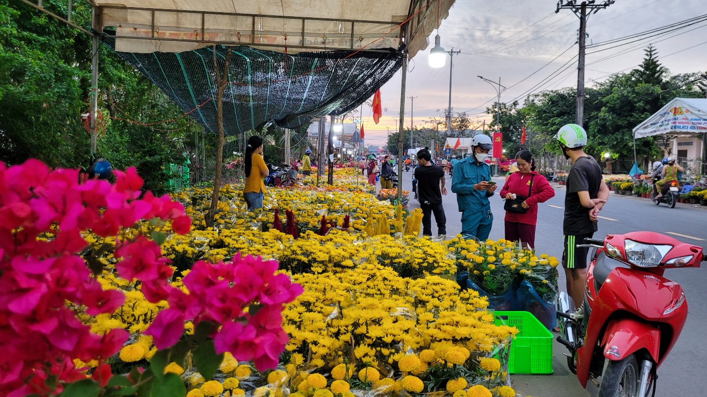 Những mùa xuân gần lại - 1